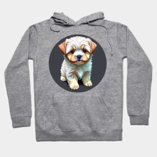 A White Havanese Puppy Dog with Cream & Light Brown Highlight Markings Hoodie